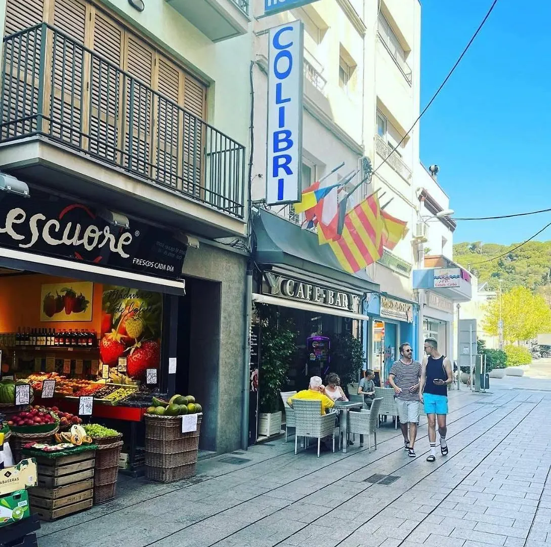 Colibri Hotel Calella Spain